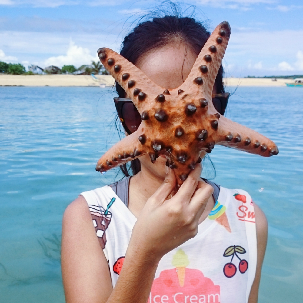 starfish caramoan island philippines