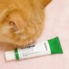 dr. jart+ cicapair tiger grass cream review with loki | style vanity