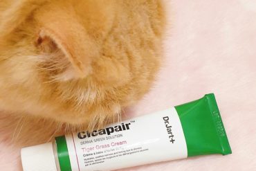dr. jart+ cicapair tiger grass cream review with loki | style vanity