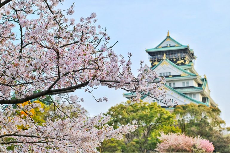 how to apply for japan visa without itr - osaka castle japan cherry blossom travel