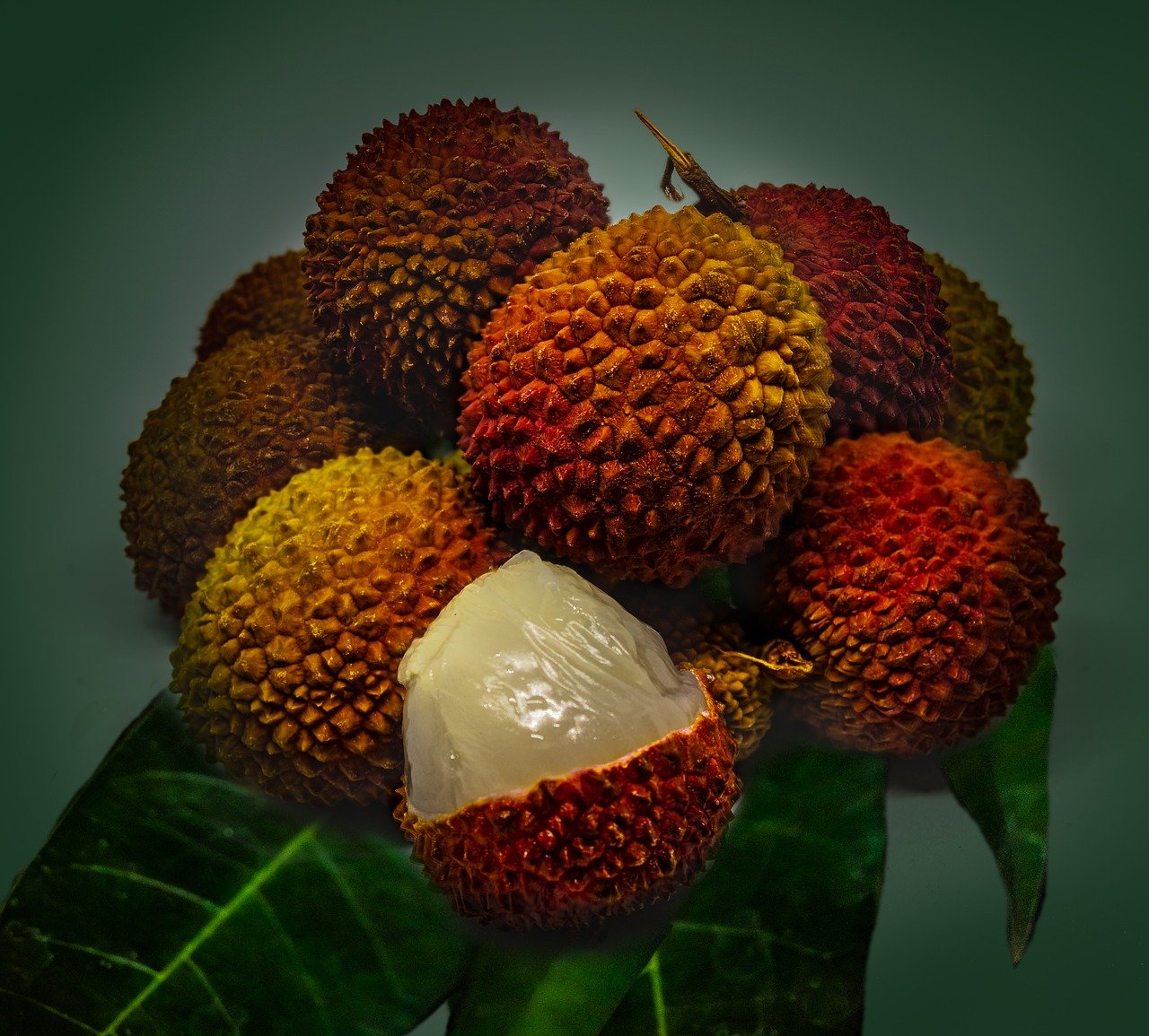 Плод похожий на каштан. Личи ягода. Экзофрукт личи. Личи мадагаскарские. Тропический фрукт личи.