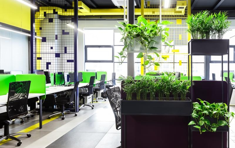 The Benefits of Bringing Plants into the Workplace