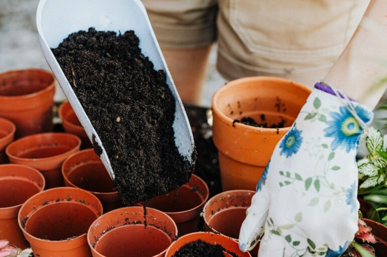 planting flower seeds