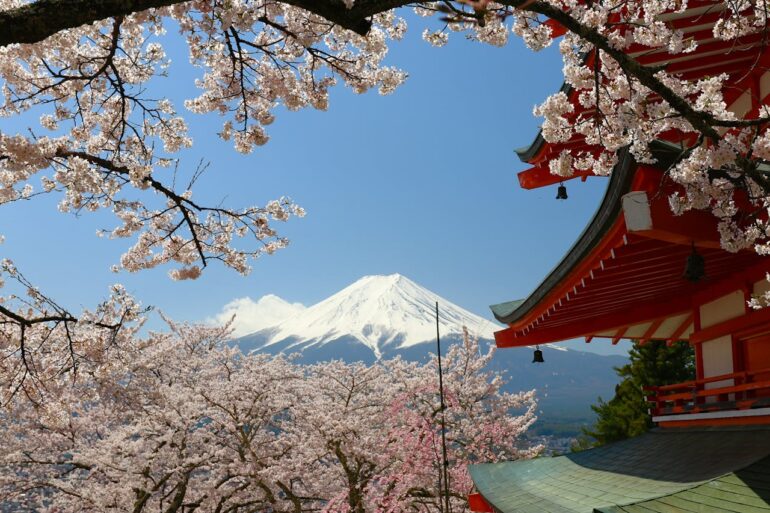 best places to view mt fuji
